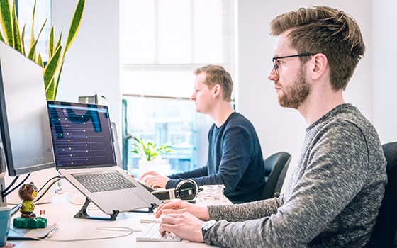 Web Development